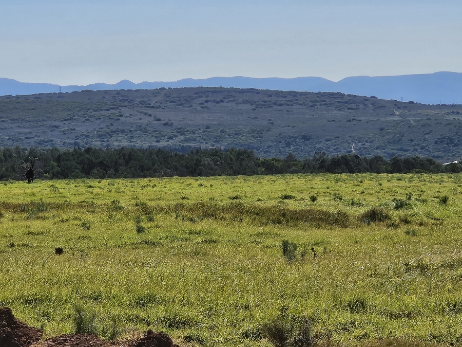 0 Bedroom Property for Sale in Twin Valley Eastern Cape